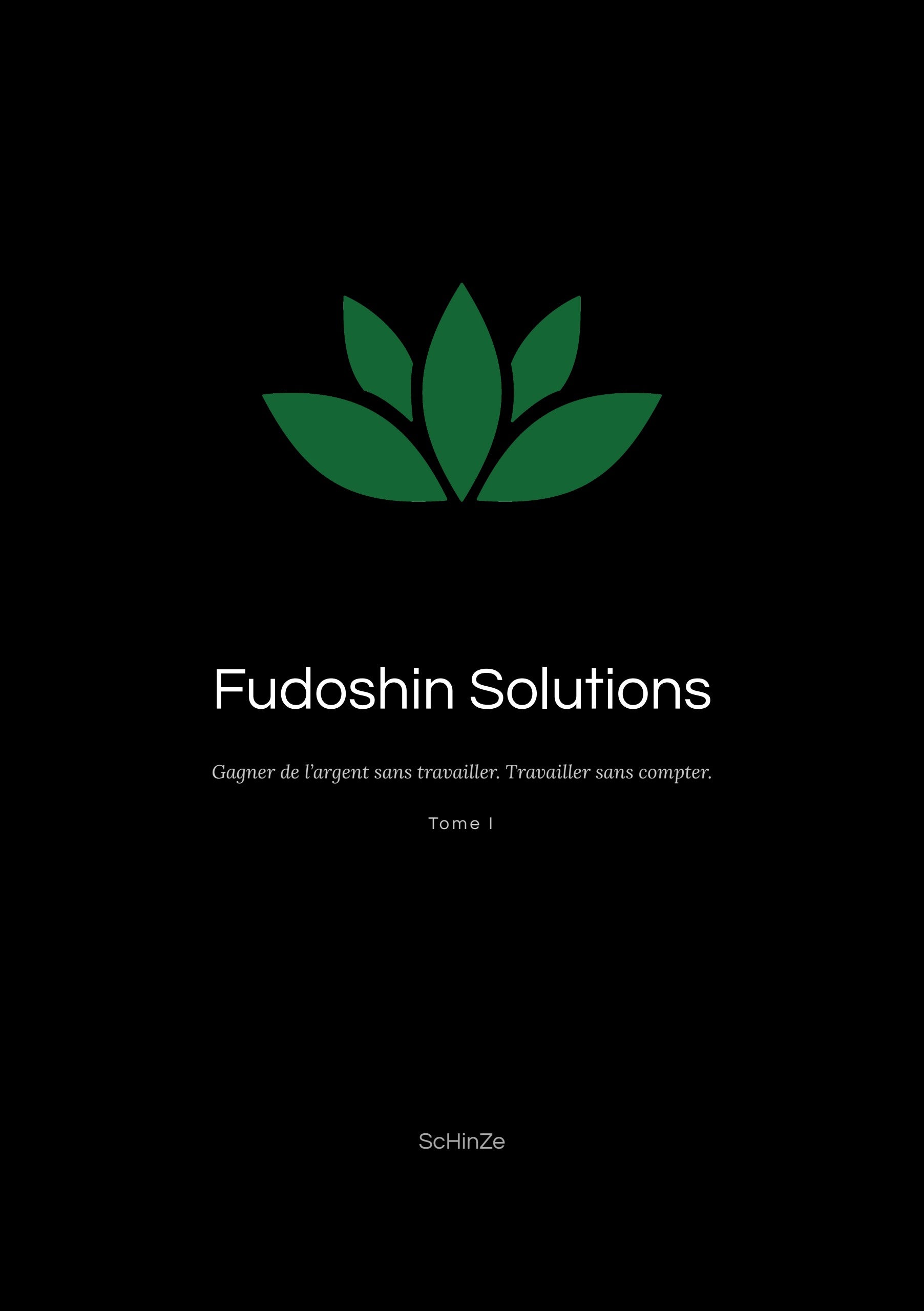 Couverture de Fudoshin Solutions