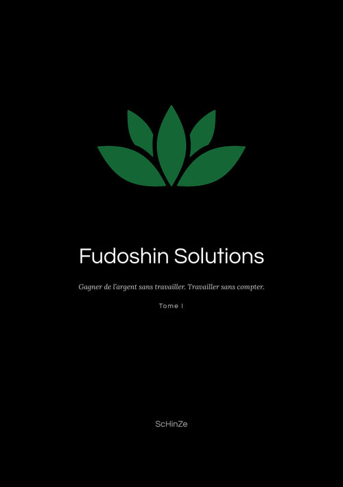 Couverture de Fudoshin Solutions
